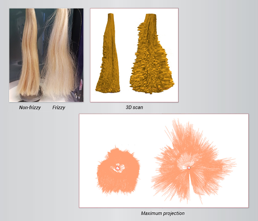 Example comparison of two hair types