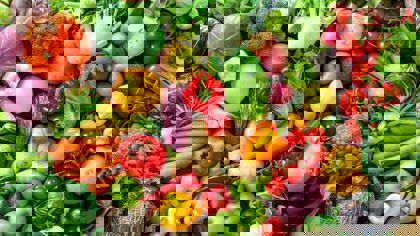 Fruit and vegetables: The application of texture analysis on the latest developments