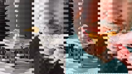 Image Pairing Crisp Fracture Support Rig And Biting Into Crisp