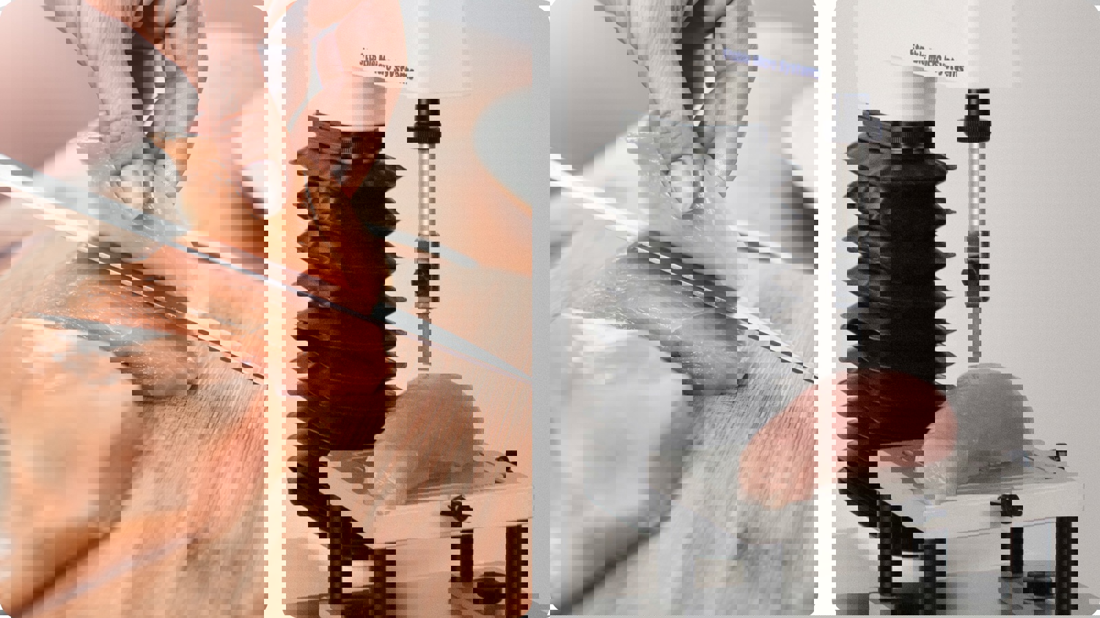 Imitative test of cutting chicken using the MORS Blade