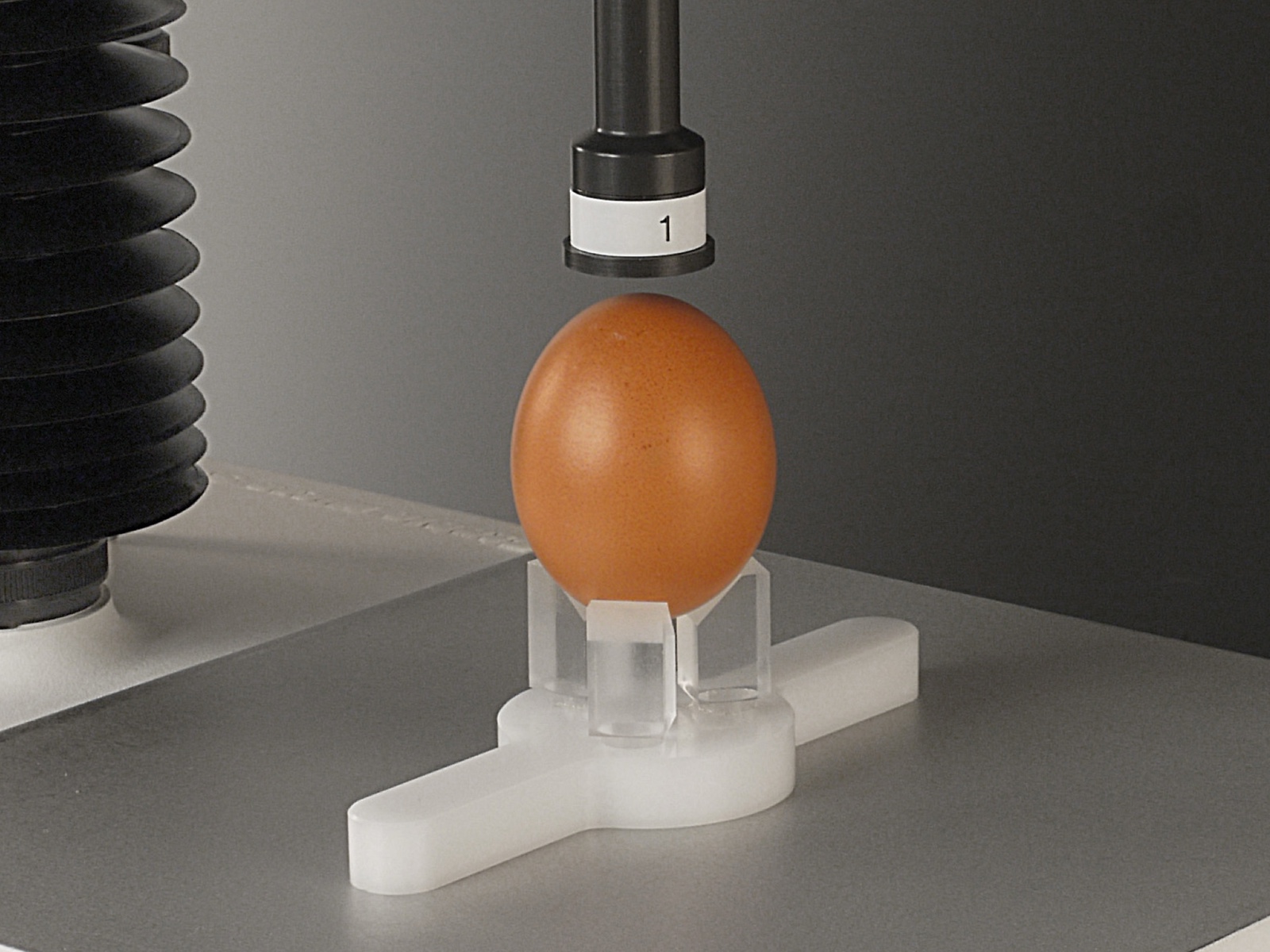Egg Quality Testing System Egg In Holder