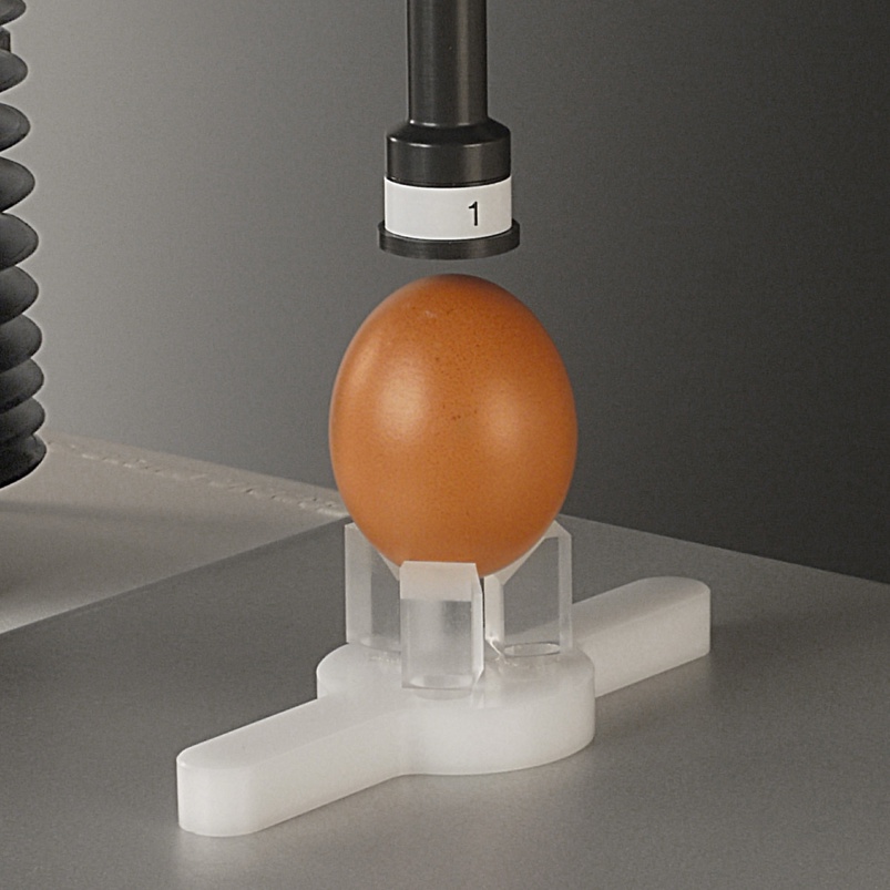Egg Quality Testing System Egg In Holder