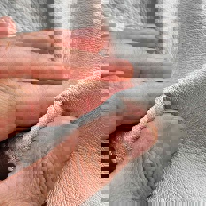 Person using hands to assess the texture of leather 