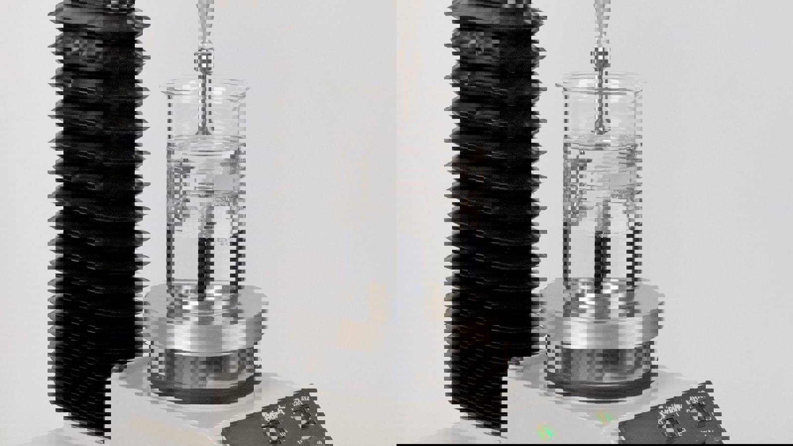Mucoadhesion Test