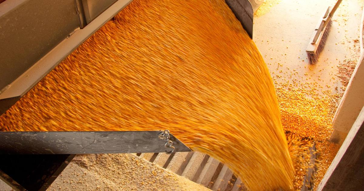 Powder Through Grate Pattern Powder flow problems: bridging, caking, flooding and more | Stable ...