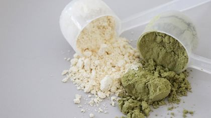 Food ingredient powders: Why batches behave differently