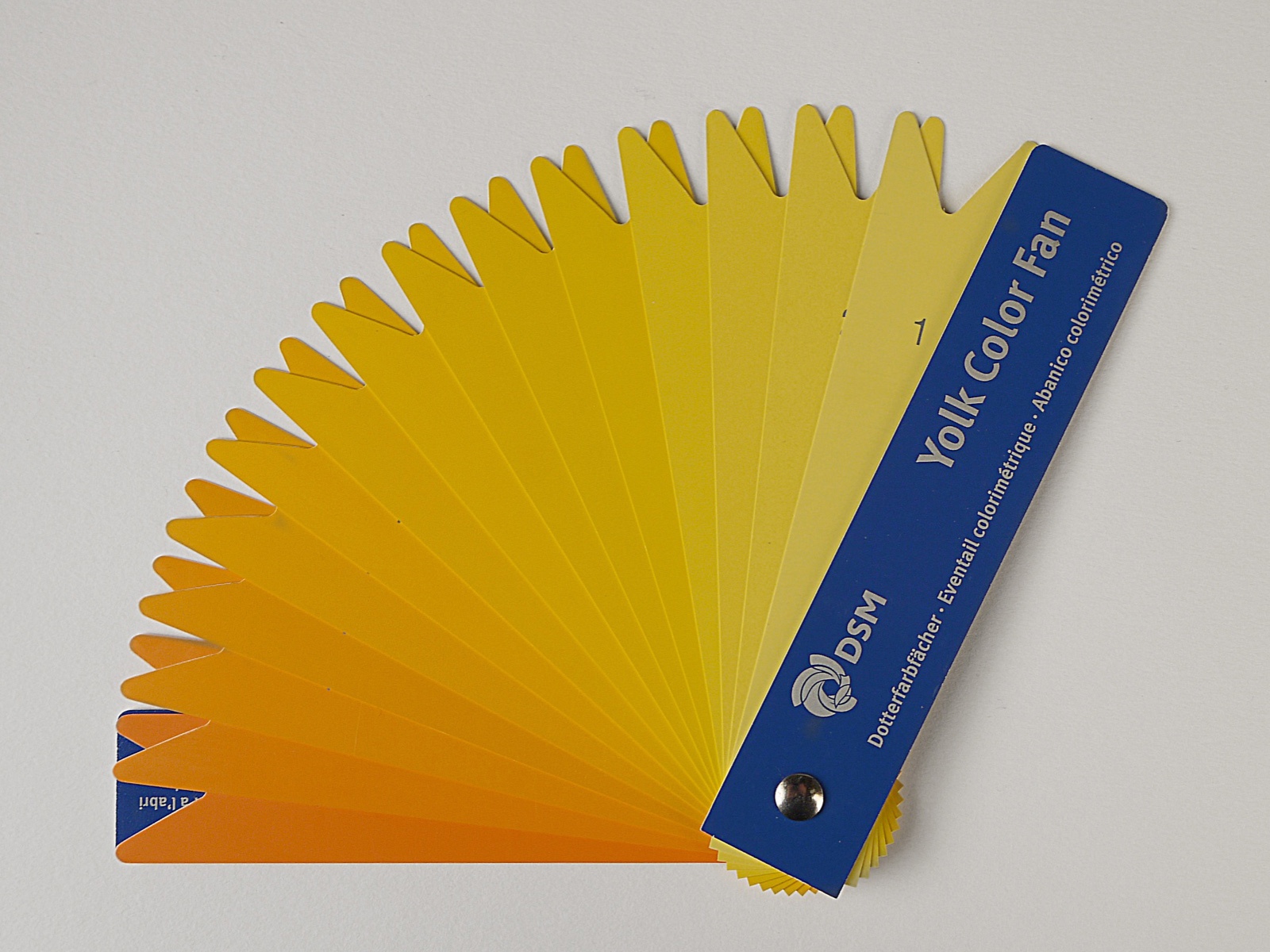 Egg Quality Testing System Yolk Colour Fan