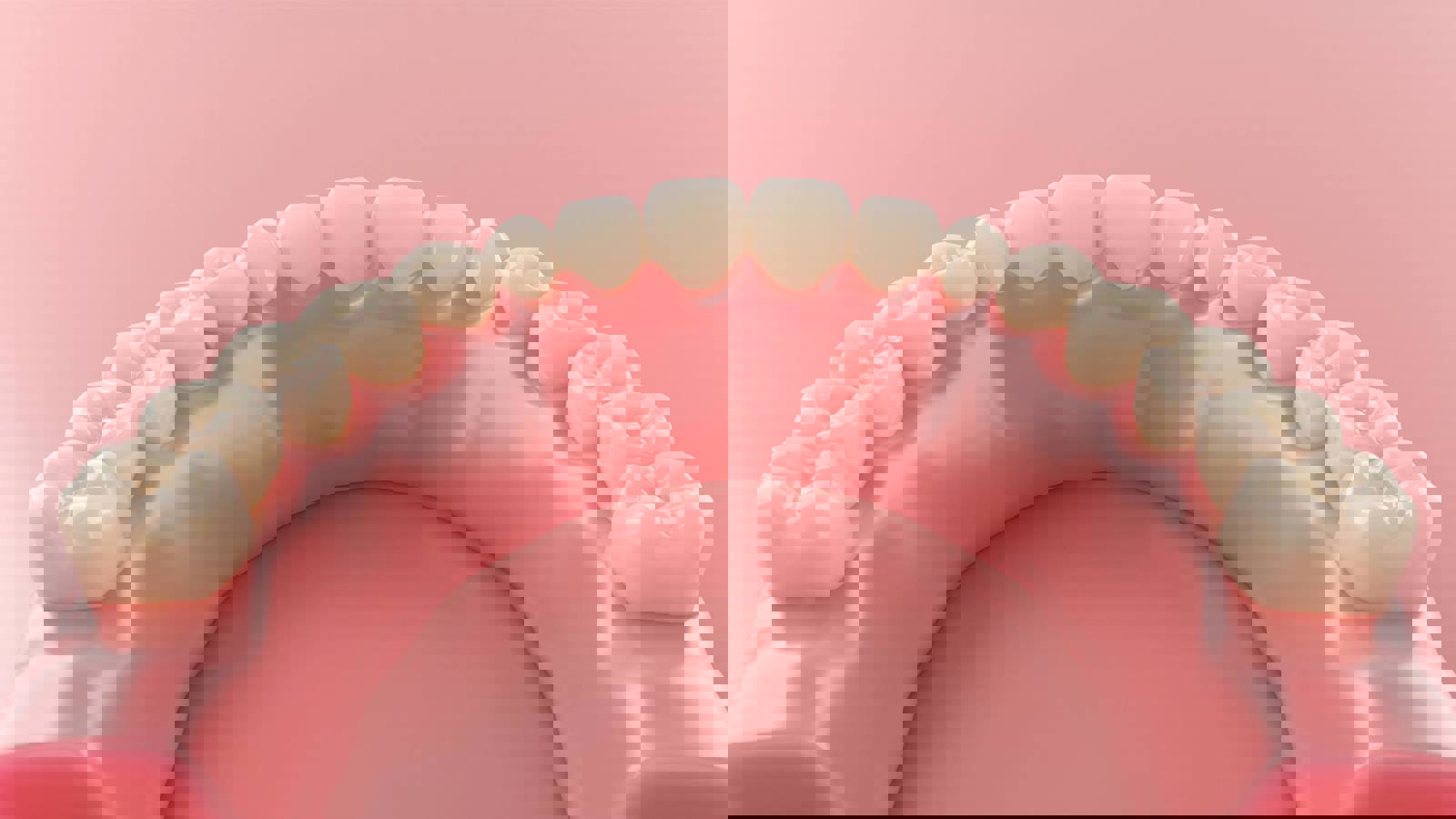 Healthy lower teeth