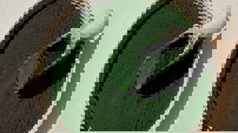 Spirulina Powder In A Bowl