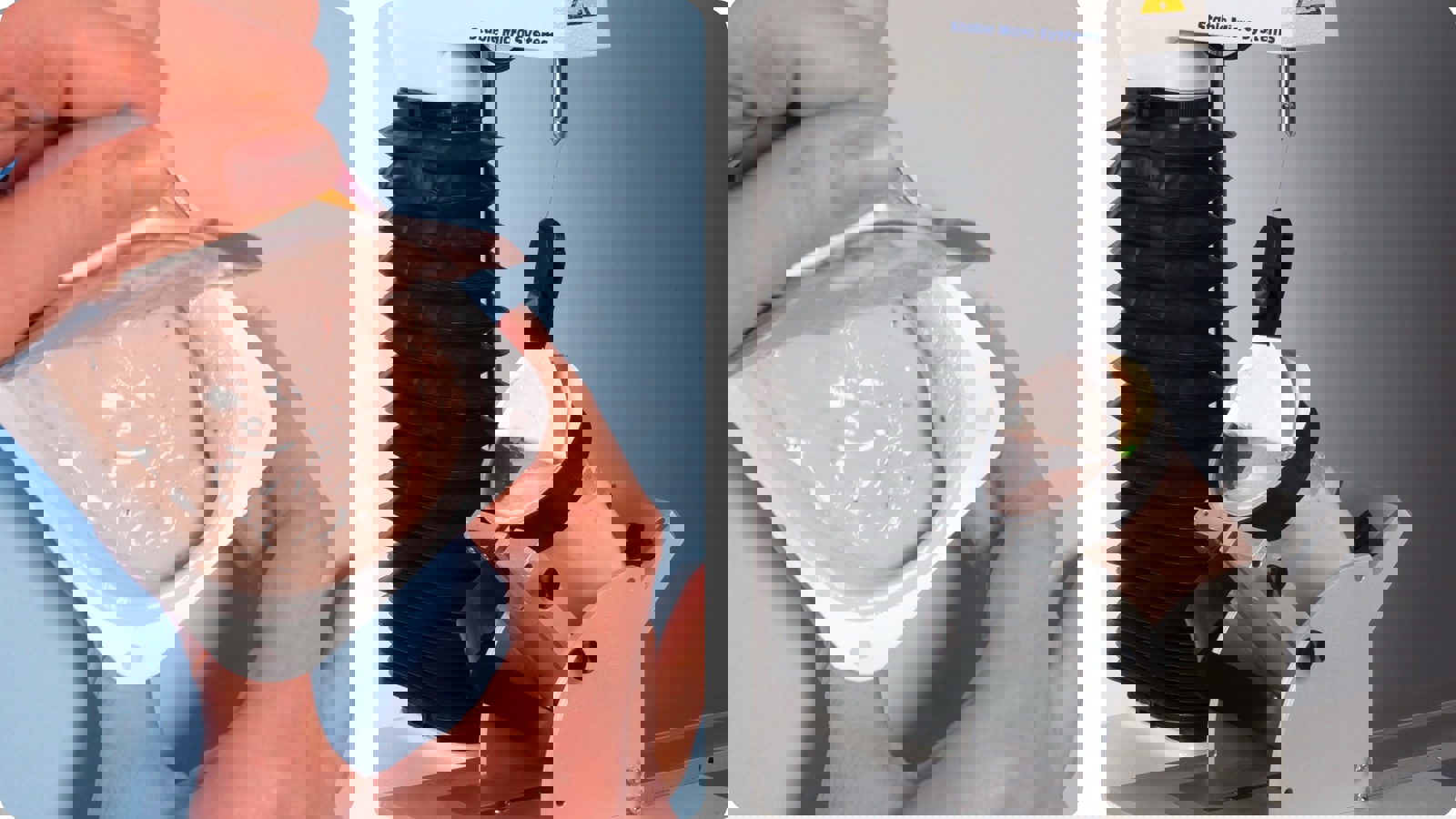 Imitative adhesion test of a yoghurt pot