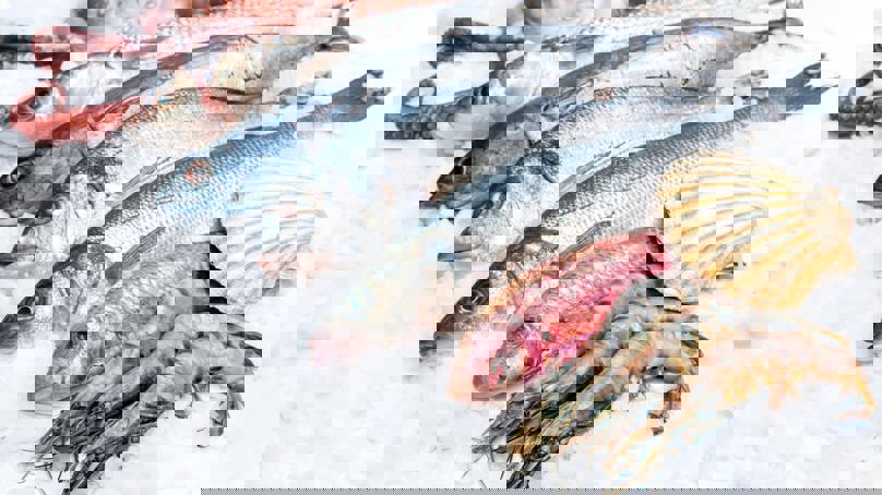 Seafood And Fish On Ice