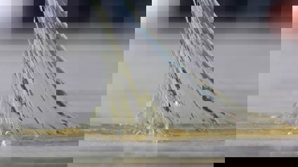 Adhesive substance stretching between two surfaces