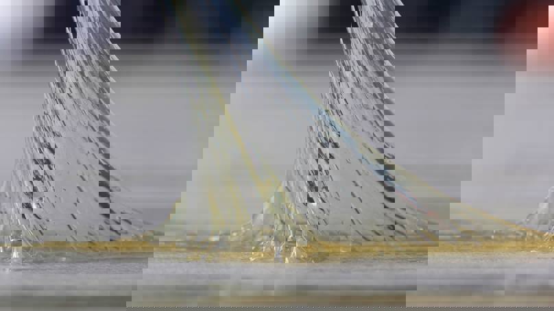 Adhesive substance stretching between two surfaces