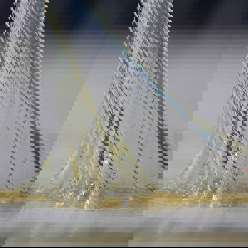 Adhesive substance stretching between two surfaces