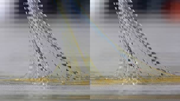 Adhesive substance stretching between two surfaces