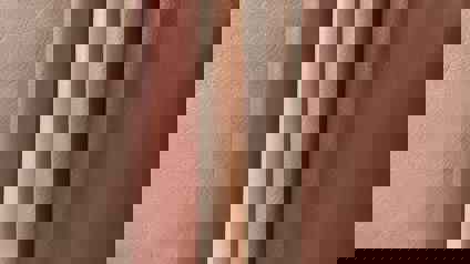 Samples Of Tan Leather