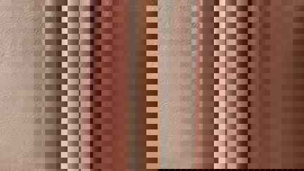 Samples Of Tan Leather