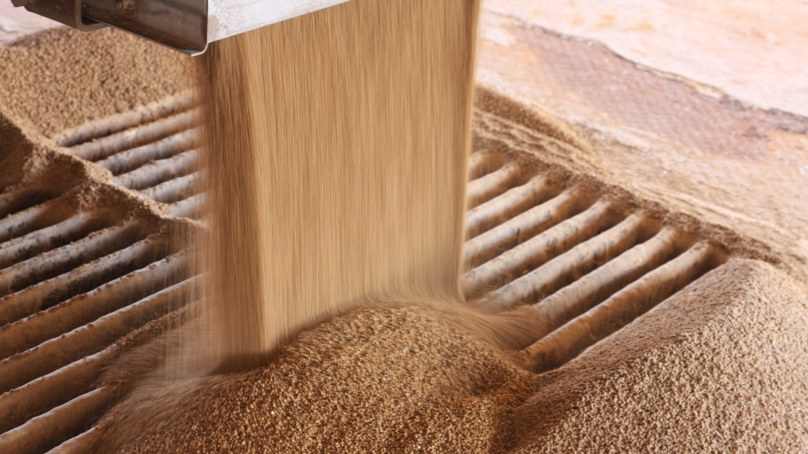 Dry Fertilizer Flowing In A Factory Environment