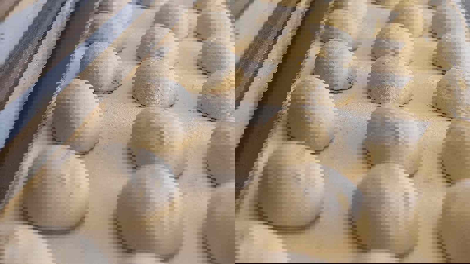 Balls of dough proving on conveyor belt