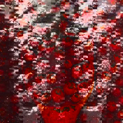 Girl eating a carrot