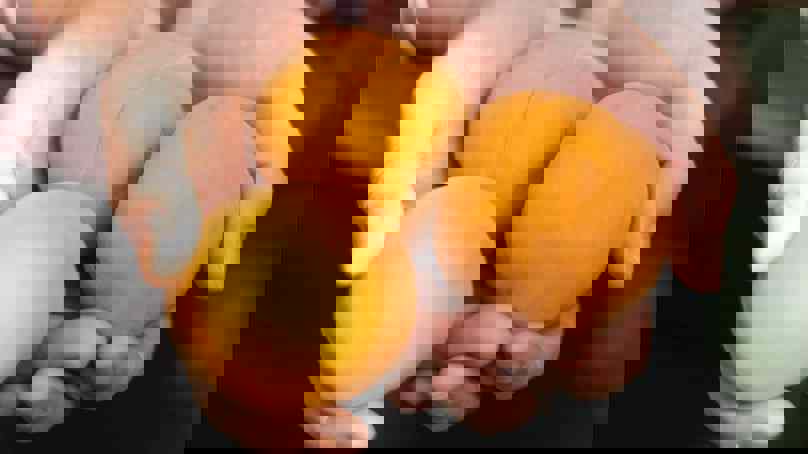 Person holding fresh apricots in their hands