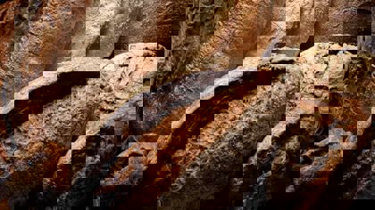 Fortification of bakery products and its effect on texture