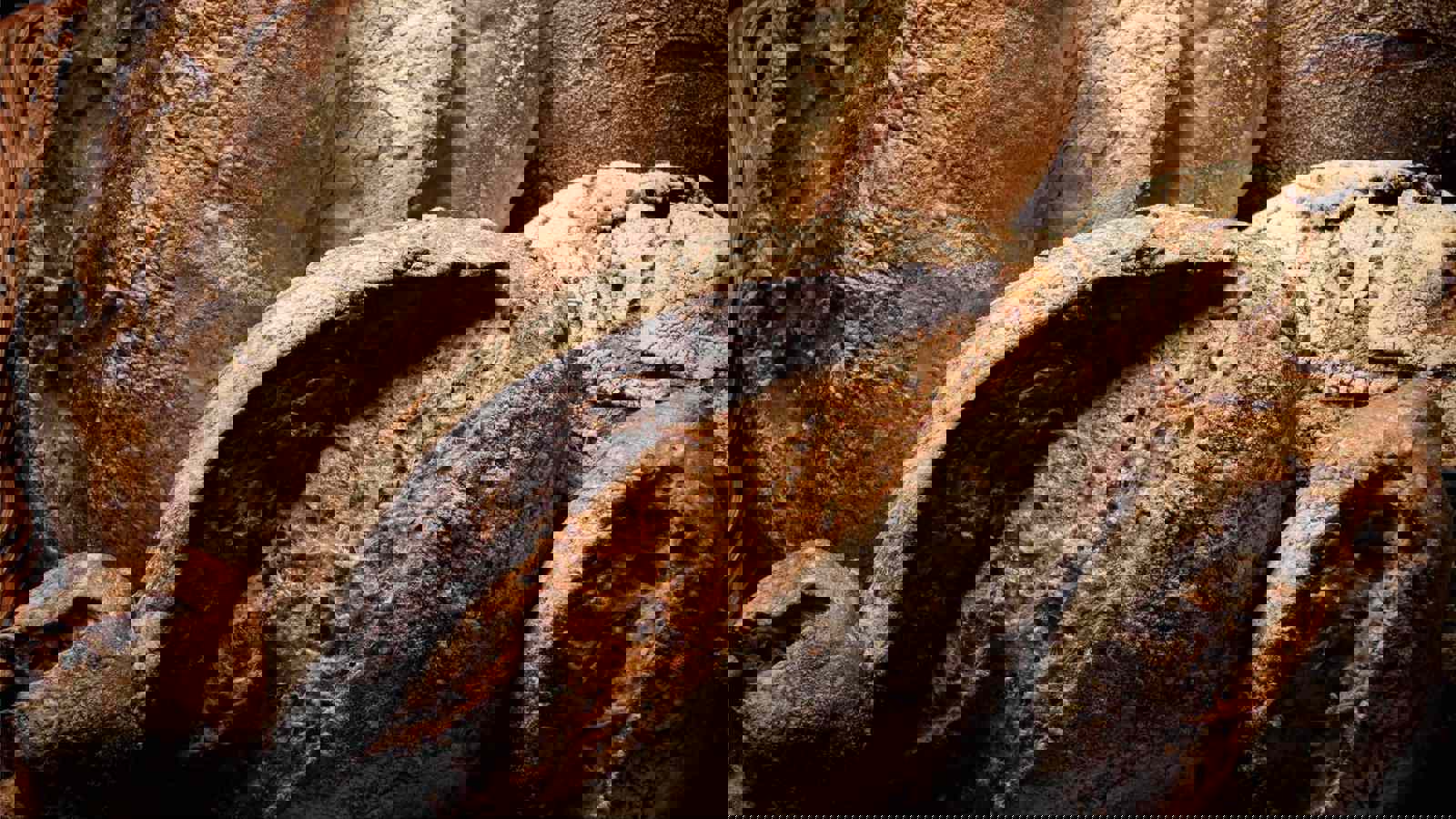 Fortified artisan breads 