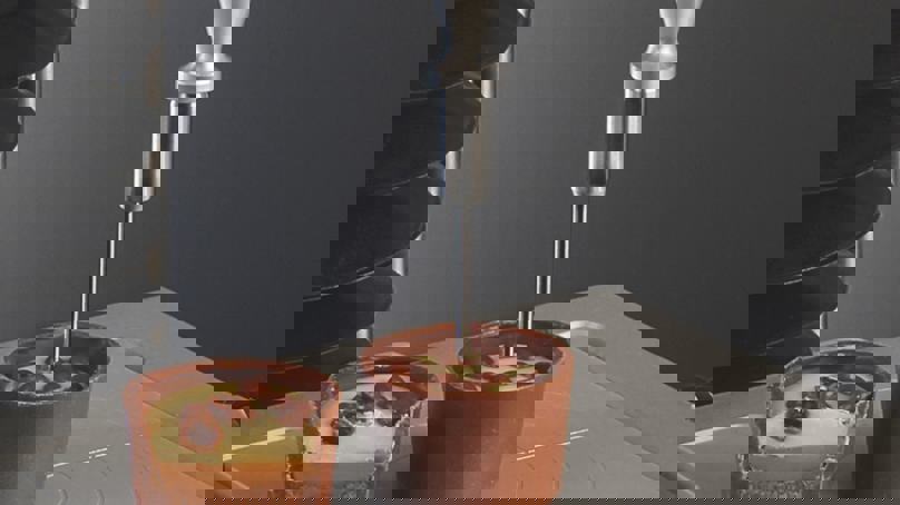 P/2 2mm Cylinder Probe 3