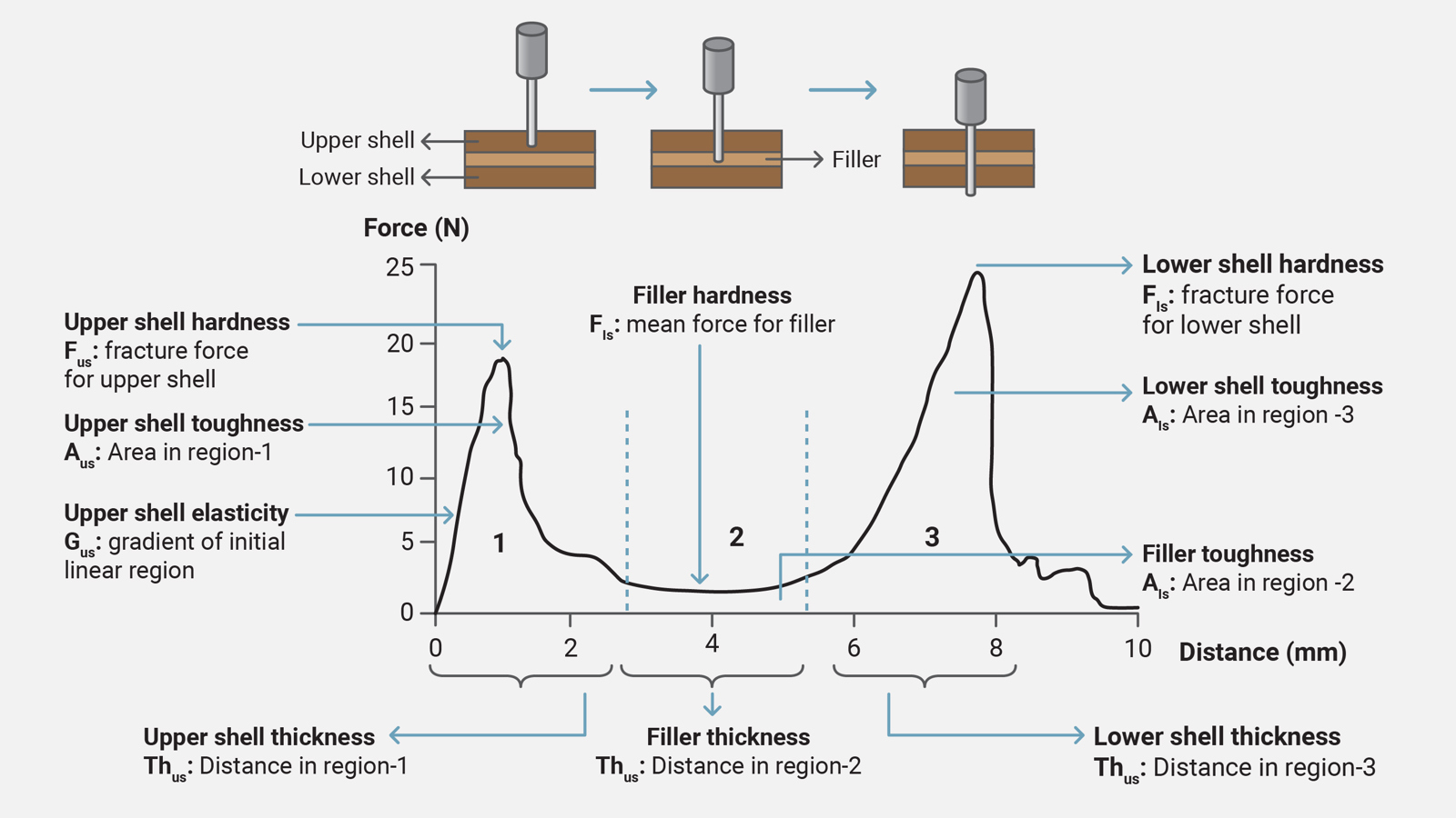 Dual Phase Pocket Graph