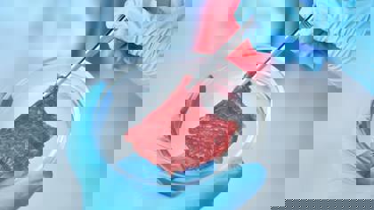 Cultured meat and seafood – why texture analysis is crucial for success