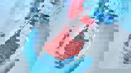 Scientist Holding Petri Dish Containing Cultured Meat Sample