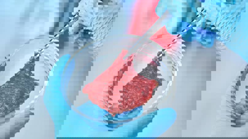 Scientist Holding Petri Dish Containing Cultured Meat Sample