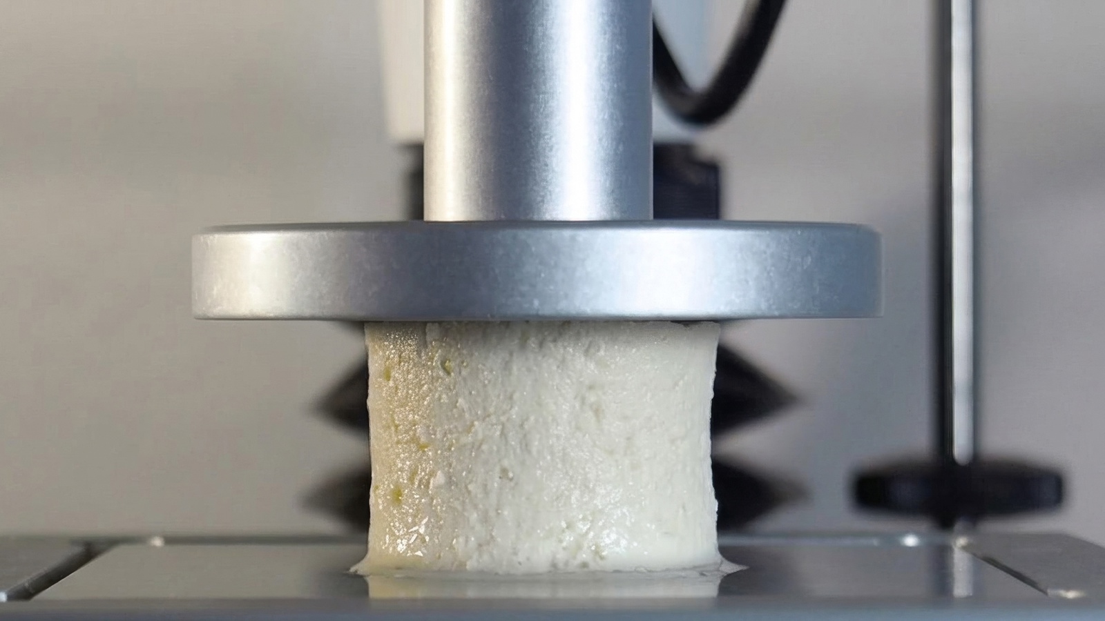 TPA test on tofu