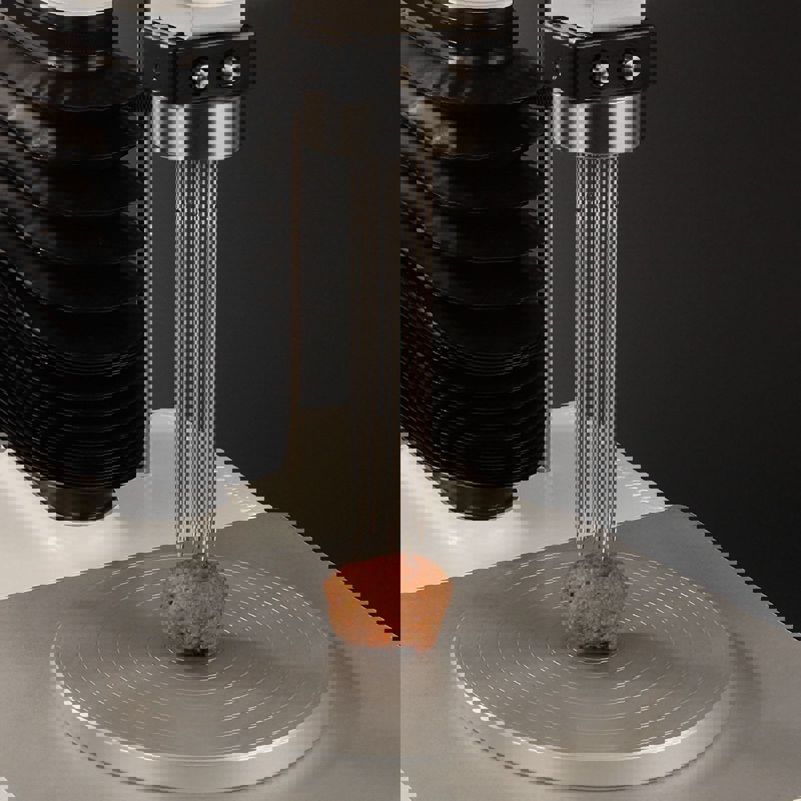 Multiple Puncture Probe | Stable Micro Systems