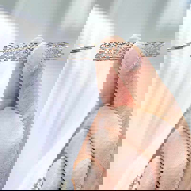 Clinician holding a stent