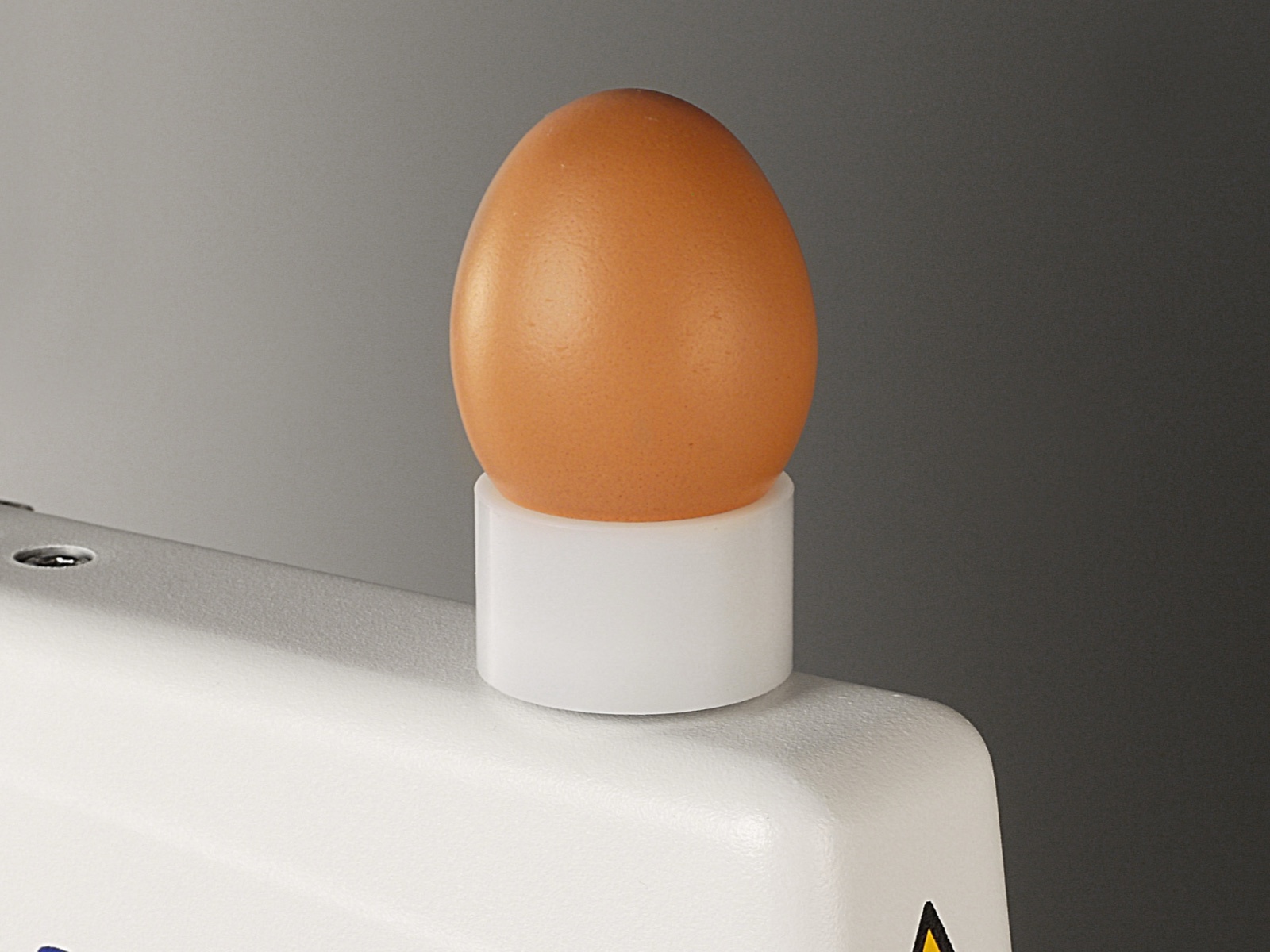 Egg Quality Testing System Egg In Cradle