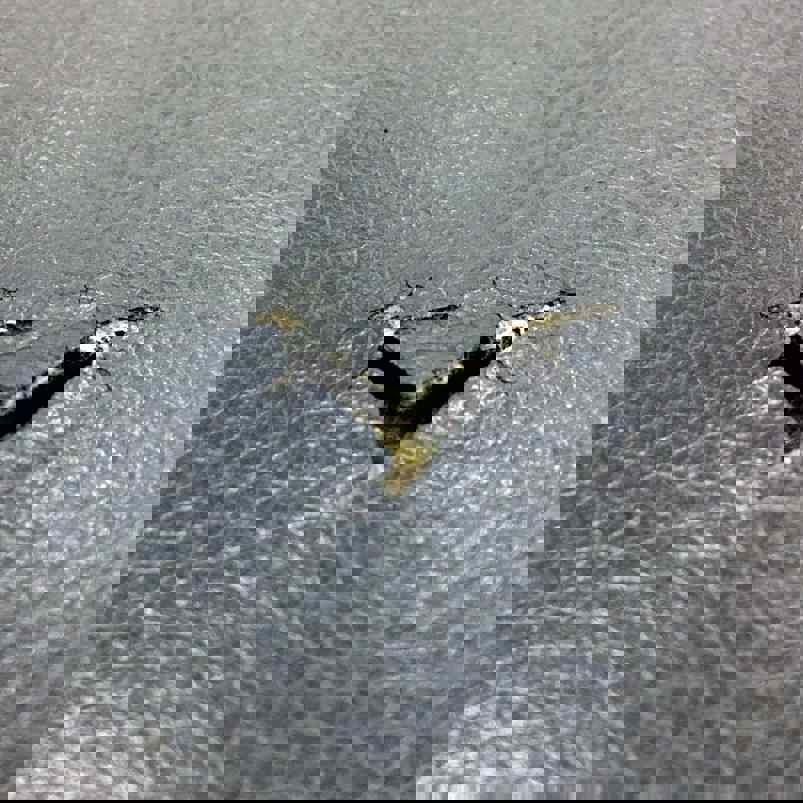 Tear in leather