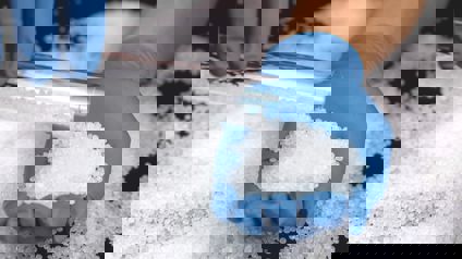 Person Measuring Polymers In Pellet Form