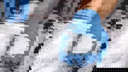 Person Measuring Polymers In Pellet Form