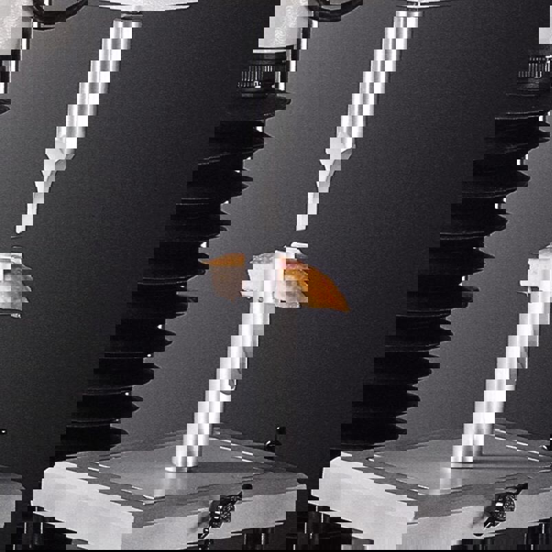 HDP/VB Volodkevich Bite Jaws