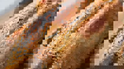 Measuring quality parameters in the poultry and egg industry – Cooked chicken methods