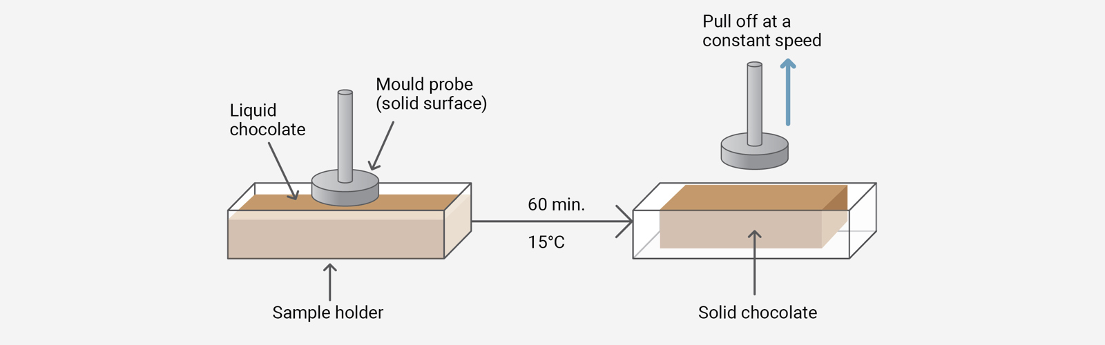 Chocolate testing diagram