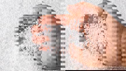 Person Scooping Polymers In Pellet Form With Hand